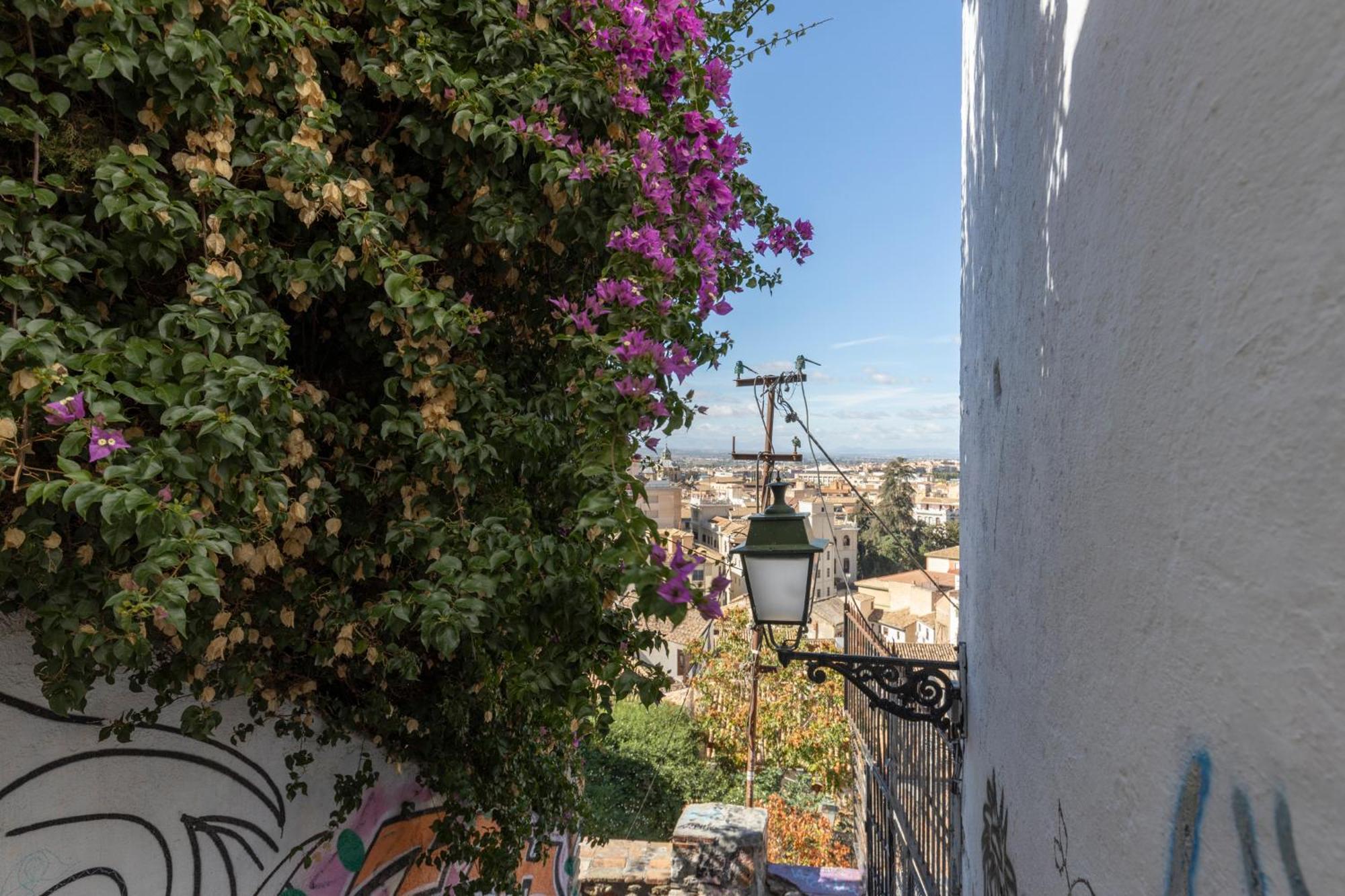 Siesta Zenete Apartment *